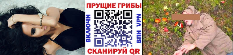 Псилоцибиновые грибы мицелий Дзержинск
